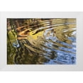 thumbnail image 1 of Paulson, Don 32x23 White Modern Wood Framed Museum Art Print Titled - Mexico, Tecate Ripples in pool, 1 of 4