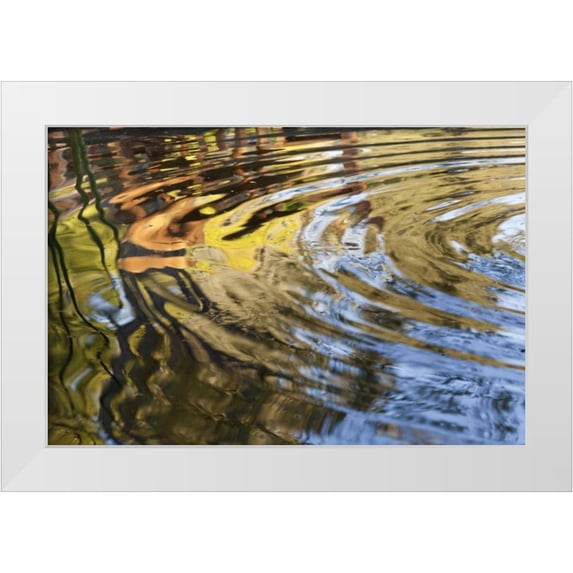 Paulson, Don 32x23 White Modern Wood Framed Museum Art Print Titled - Mexico, Tecate Ripples in pool