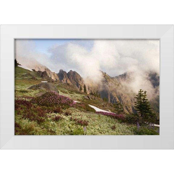 Paulson, Don 32x23 White Modern Wood Framed Museum Art Print Titled - Olympic NP Clouds over meadow and Klahhane Ridge