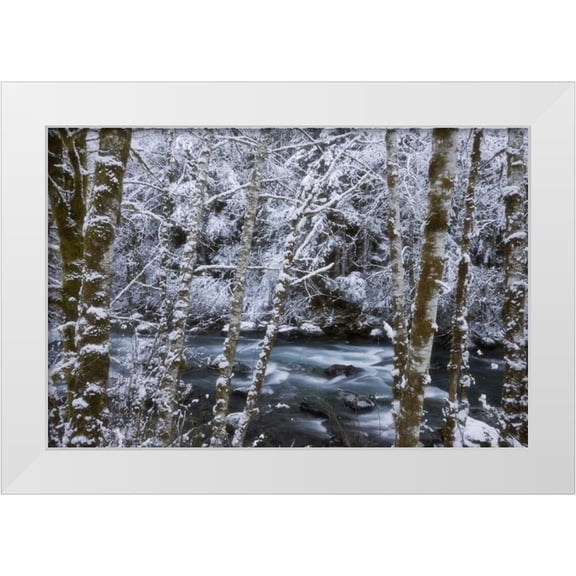 Paulson, Don 32x23 White Modern Wood Framed Museum Art Print Titled - USA, WA, Olympic NP Winter Hamma Hamma River