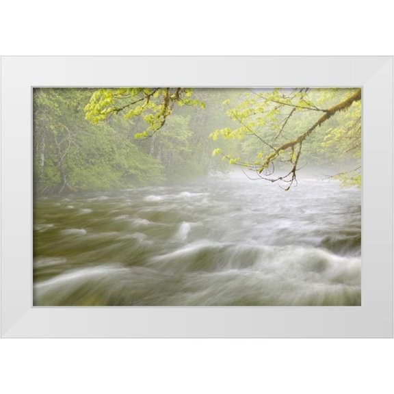 Paulson, Don 32x23 White Modern Wood Framed Museum Art Print Titled - WA, Cascade Mts Cascading water in Beckler River