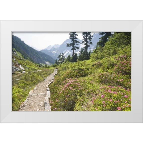 Paulson, Don 32x23 White Modern Wood Framed Museum Art Print Titled - WA, Cascade Pass Hiking trail amid wilderness