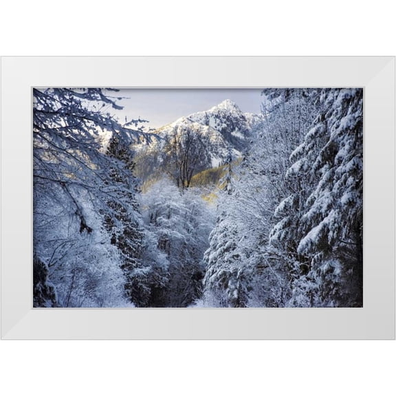 Paulson, Don 32x23 White Modern Wood Framed Museum Art Print Titled - WA, Olympic NP Winter Hamma Hamma River Valley