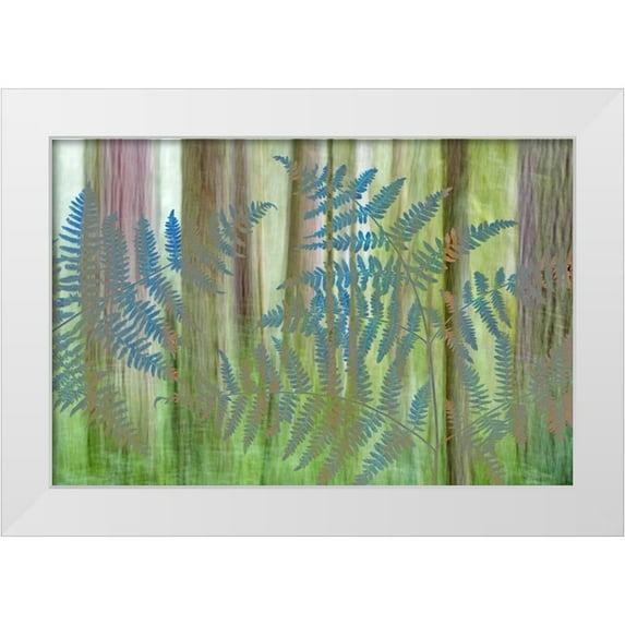 Paulson, Don 32x23 White Modern Wood Framed Museum Art Print Titled - WA, Seabeck Collage of bracken ferns and forest