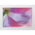 thumbnail image 1 of Paulson, Don 32x23 White Modern Wood Framed Museum Art Print Titled - Washington, Seabeck Underside of poppy flower, 1 of 4