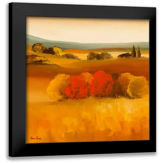 Paus, Hans 15x15 Black Modern Framed Museum Art Print Titled - Green Tree