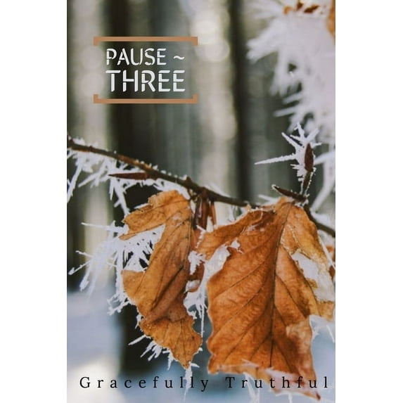 Pause 3, (Paperback)