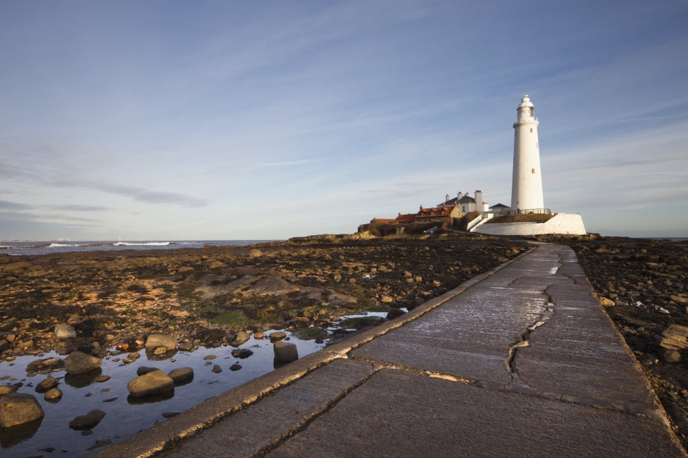 Paved Path To The Lighthouse On St Marys Island Northumberland England Canvas Art - John Short Design Pics (19 x 12)