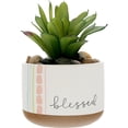 thumbnail image 1 of Pavilion Gift Company - Blessed - 5" Artificial Potted Plant, 1 of 9