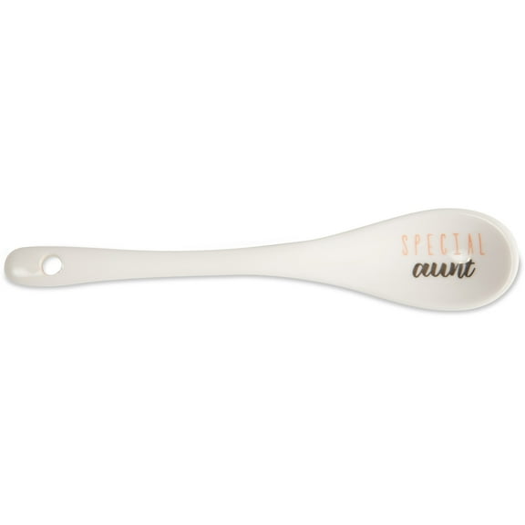 Pavilion Gift Company 89249 Special Aunt Mini Keepsake Spoon, 5"