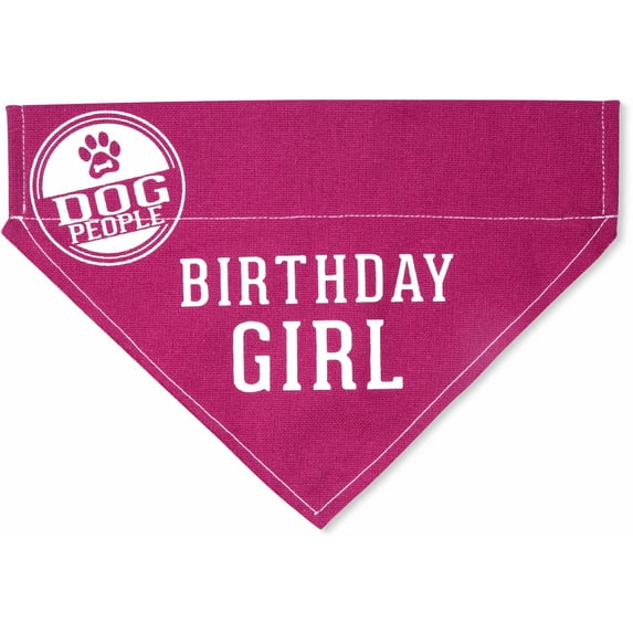 Pavilion Gift Company Pink Large Dog Slip-On Collar Canvas Bandana Birthday Girl, 12x8 Inch