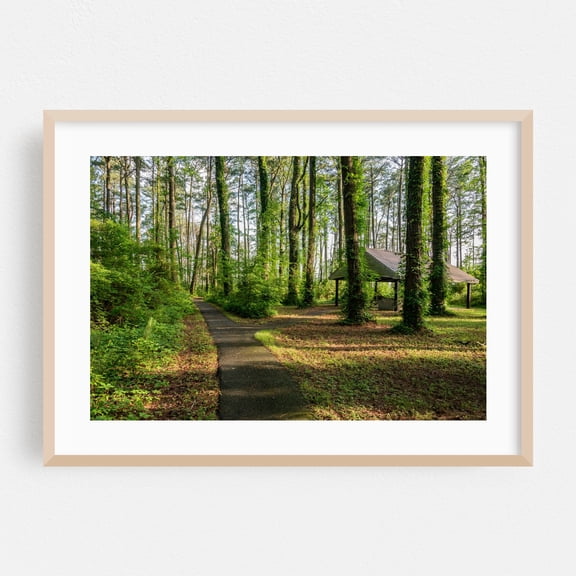 Pavillion along the Marsh Edge Trail - Maryland Photography Forest Nature Woodland Scenic Landscape Woods Oak Framed Wall Art Print 24 x 36 inches