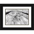 thumbnail image 1 of Pavlasek, Tom 14x11 Black Ornate Wood Framed with Double Matting Museum Art Print Titled - The branch, 1 of 4
