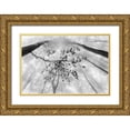thumbnail image 1 of Pavlasek, Tom 18x13 Gold Ornate Wood Framed with Double Matting Museum Art Print Titled - The branch, 1 of 4