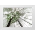 thumbnail image 1 of Pavlasek, Tom 18x13 White Modern Wood Framed Museum Art Print Titled - Misty mystery of the forest, 1 of 4