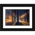 thumbnail image 1 of Pavlasek, Tom 24x17 Black Ornate Wood Framed with Double Matting Museum Art Print Titled - Forest, 1 of 4