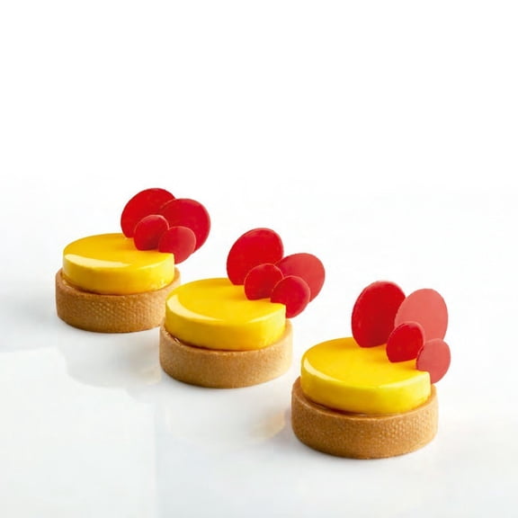 Pavoni Pavoflex Silicone Baking Mold Freezing Mould, Disc 2.91" Diameter x 0.59" High, 24 Cavities