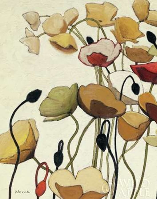 Pavots Ondule I Canvas Art - Shirley Novak (22 x 28)