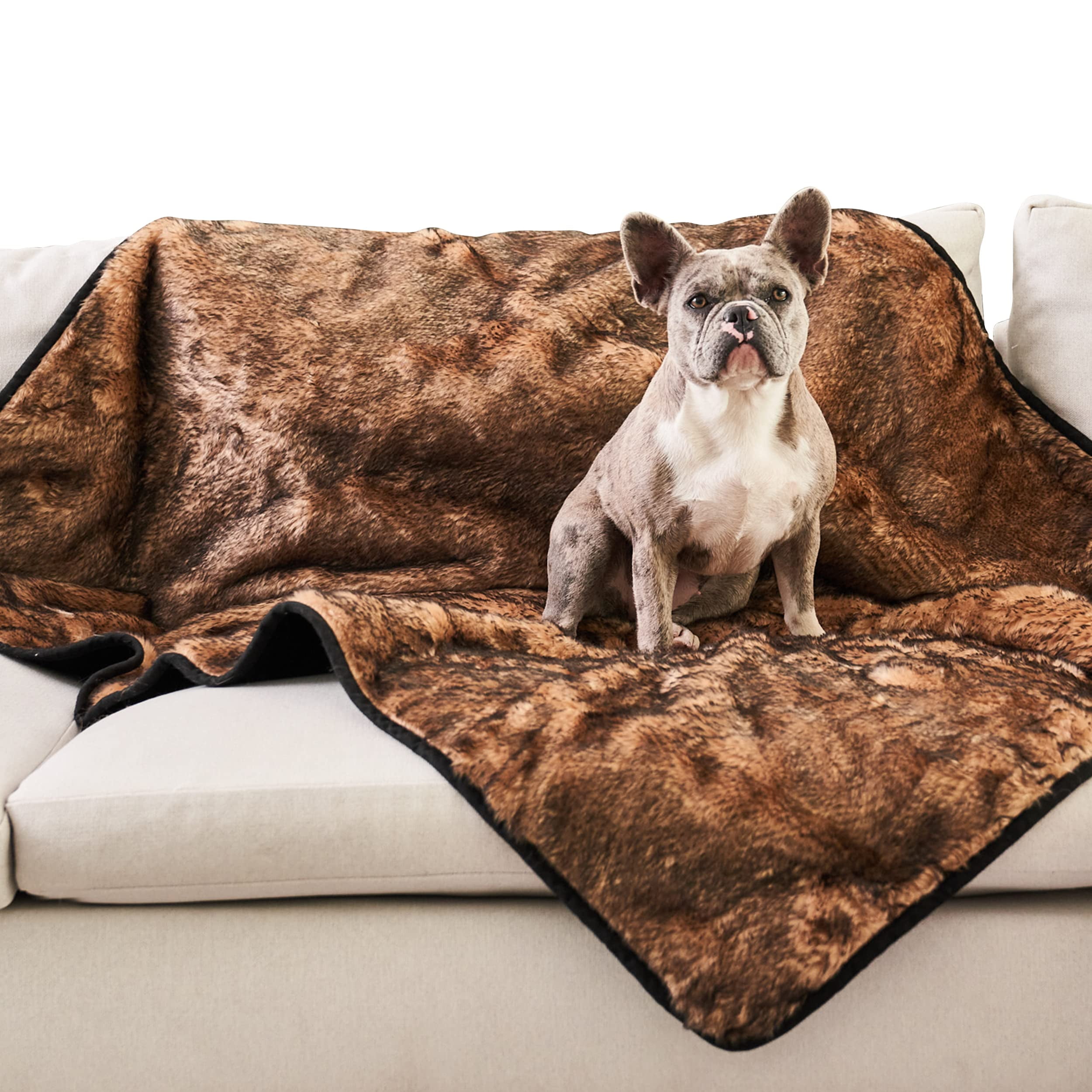 Pupprotector waterproof dog blanket for couch reviews sale