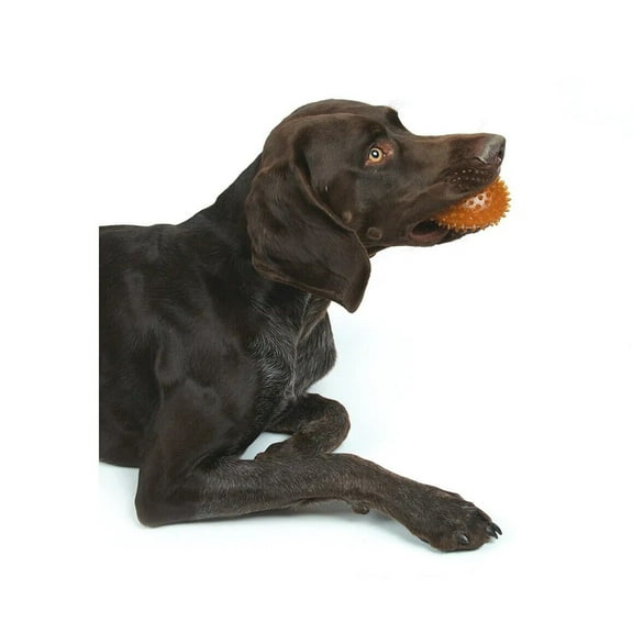 Paw Earth Fun Sustainable Safe Eco Friendly Tough Dog Chew Toys 100% Rubber (Spiky Ball - Large)