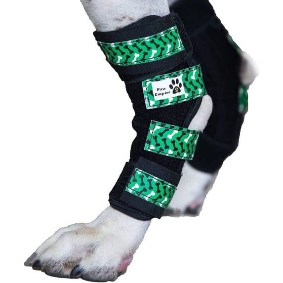 Paw Empire Dog Leg Braces, Extra Supportive with Metal Springs, Green ...