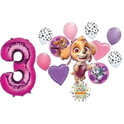 Paw Girl Pups on Patrol Skye 3rd Birthday Party Supplies Balloon Bouquet Decorations