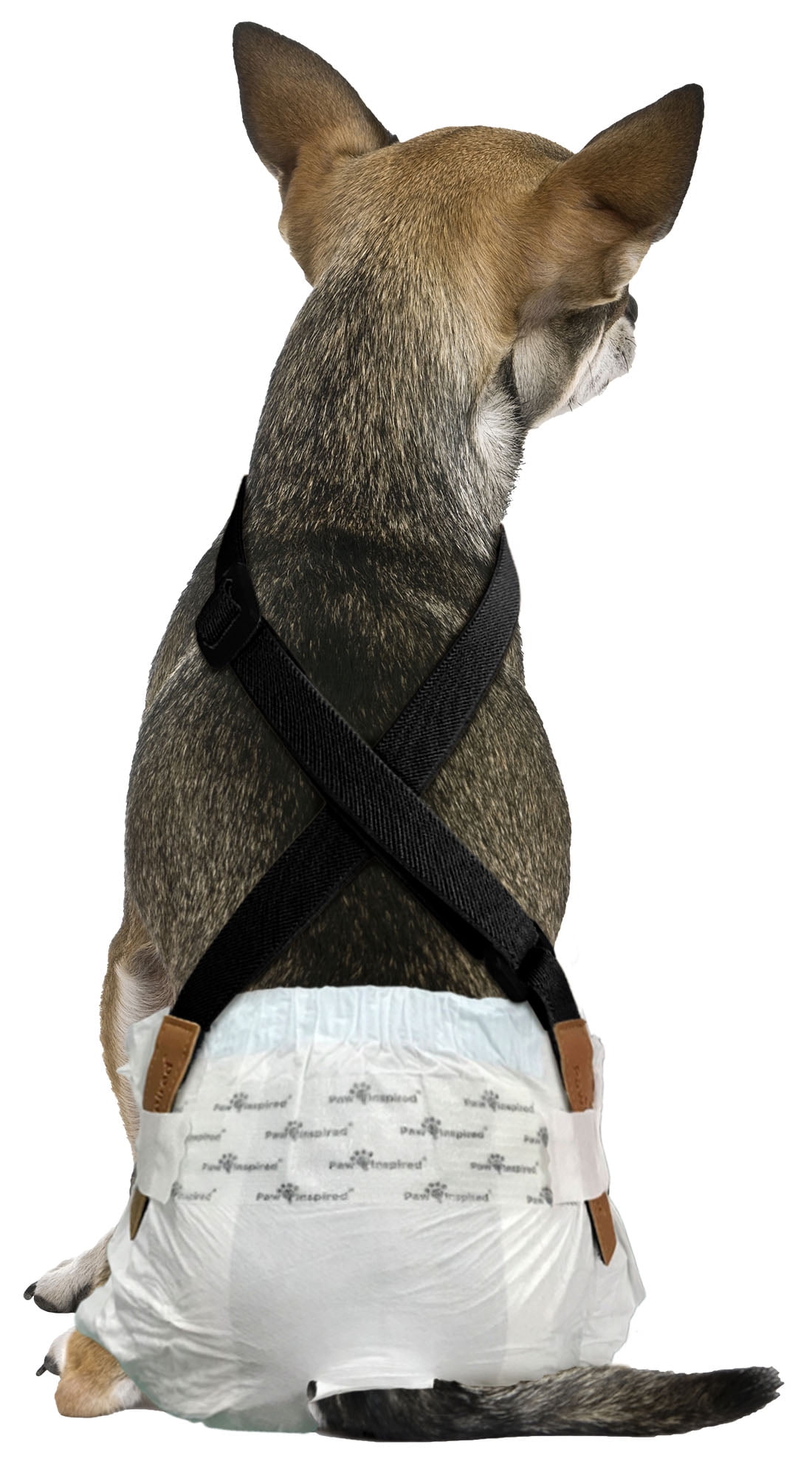 Paw Inspired Dog Diaper Suspenders Keep Male Dog Wraps and Female Dog