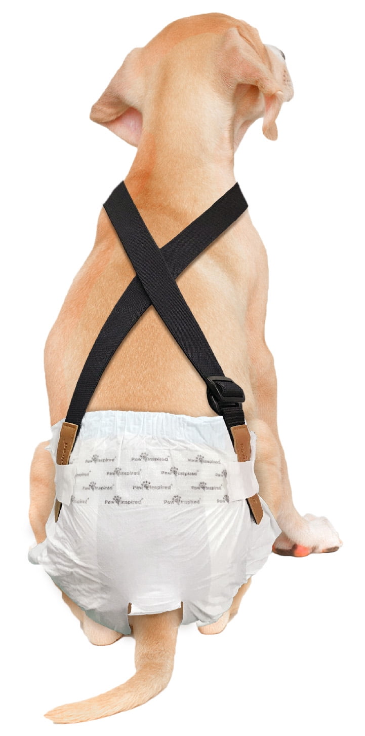 Belly bands clearance for female dogs