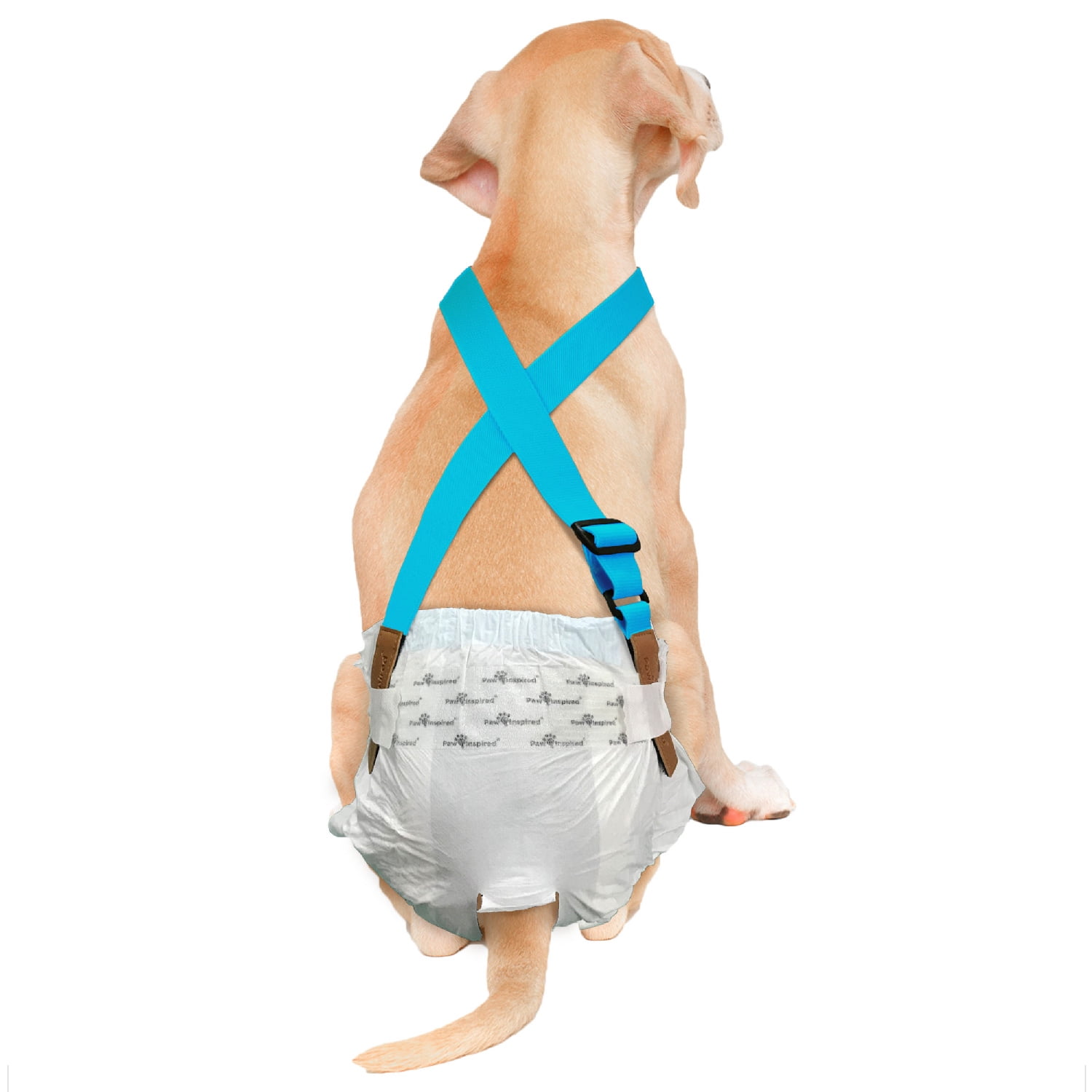 Dog diapers with suspenders hotsell
