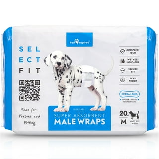 Male Dog Belly Wrap