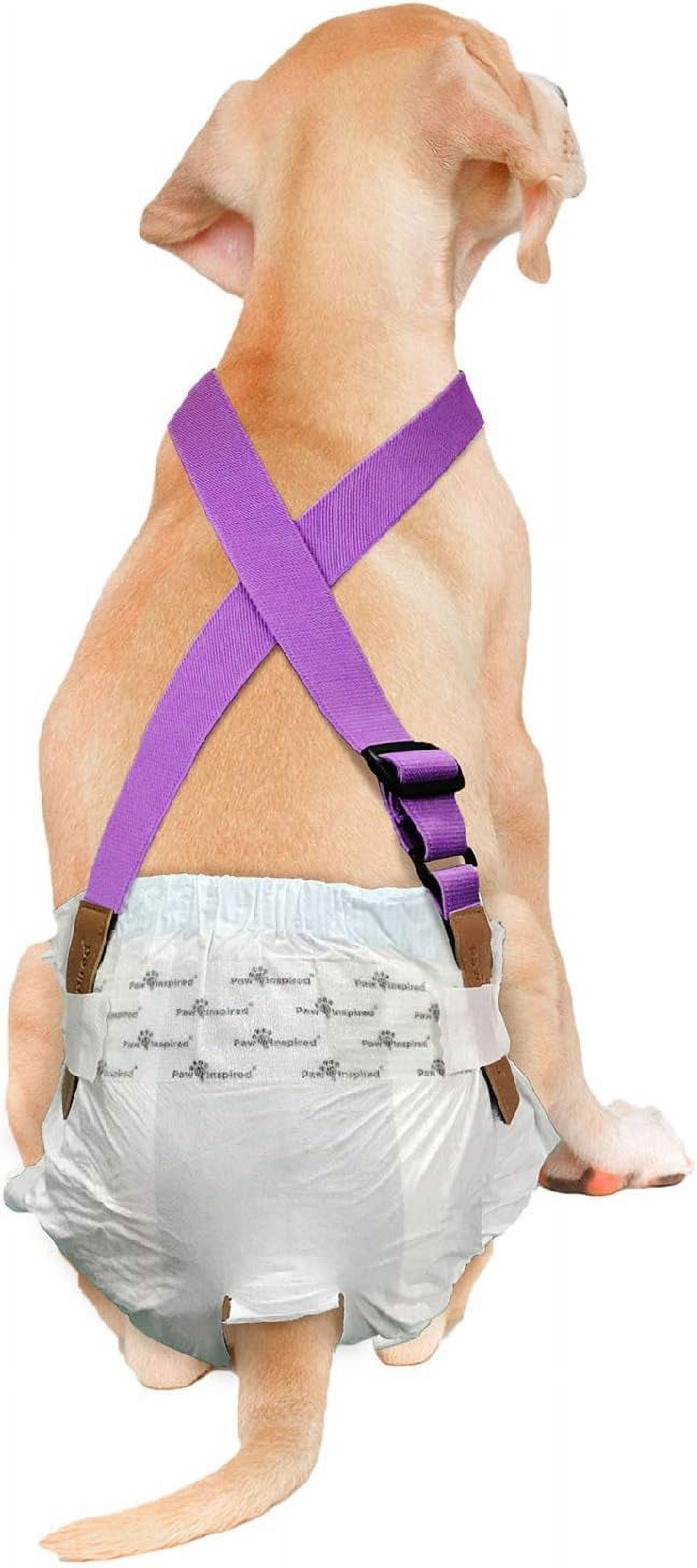 Dog diaper harness clearance