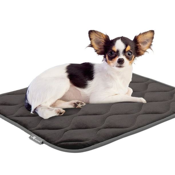 Paw Inspired Washable Padded 24 inch Crate Mats for Dogs 23 x 17 size Fits 24 Inch Kennels Anti Slip Leakproof Waterproof Reusable Plush Pet
