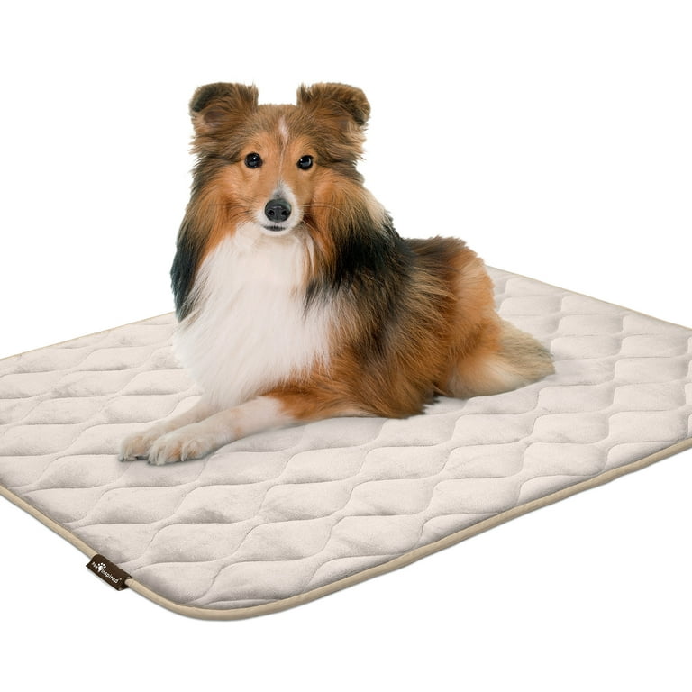 Pet Life 'Fuzzy' Quick-drying Anti-Skid and Machine Washable Dog Mat - Light Brown