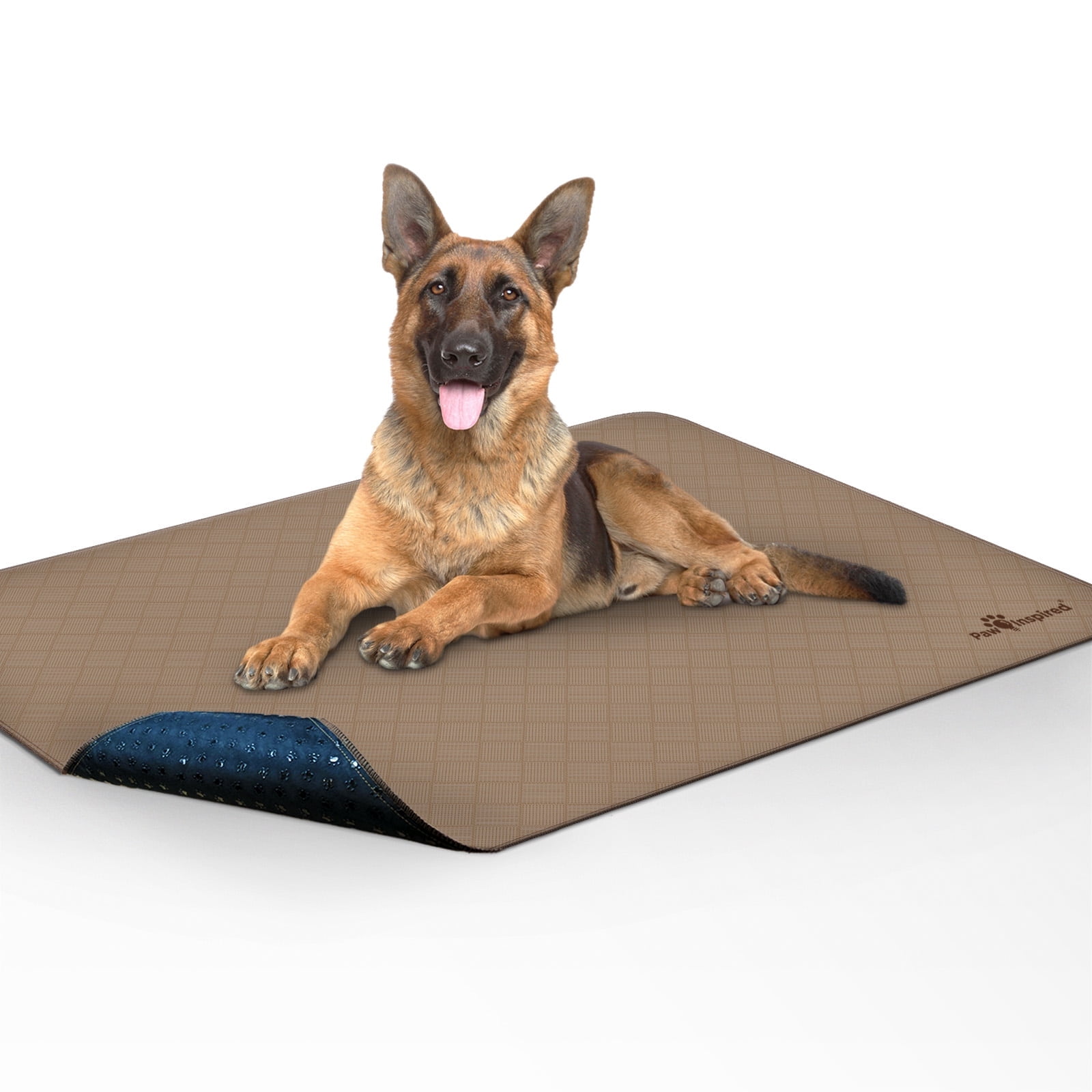 Extra Large Beige and Blue Washable Dog Pee Pad