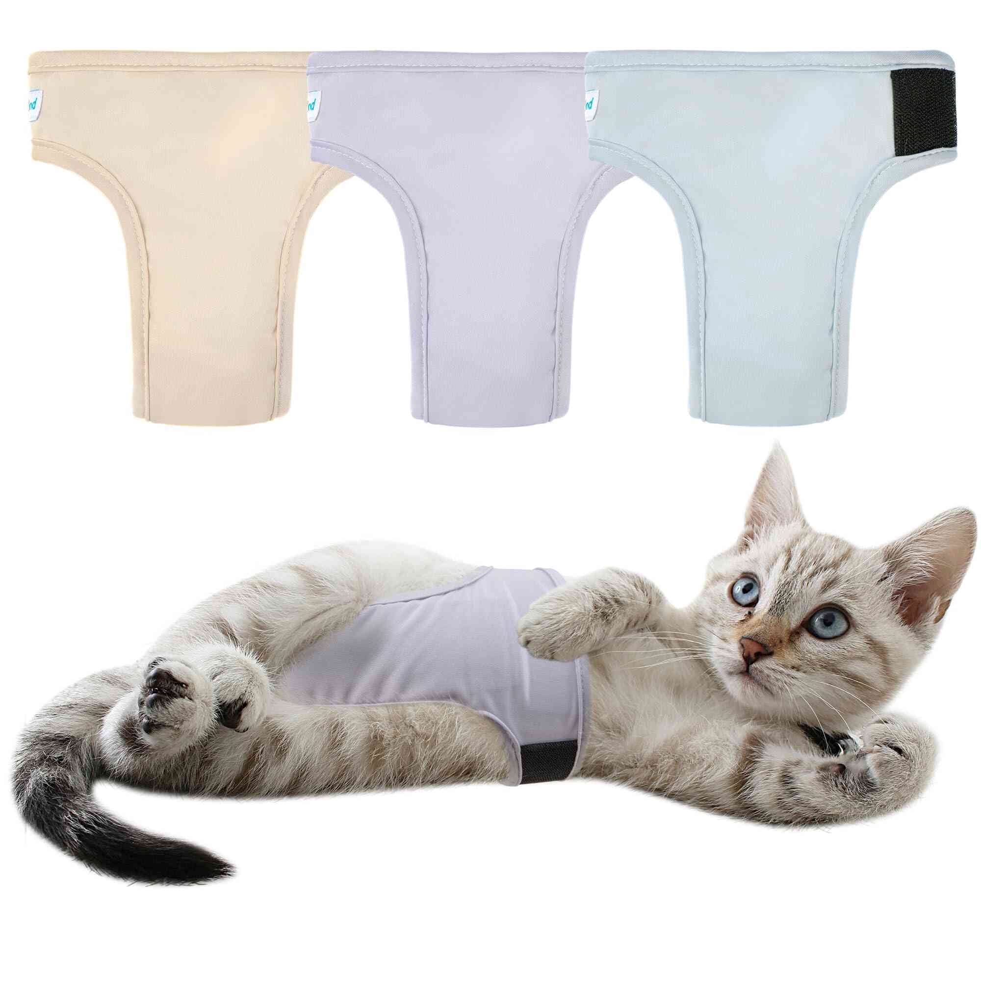 Paw Legend Cat Diapers for Female Cats Diaper for Male Cat Spraying Washable Reusable Kitten Diapers for Cats Incontinence Pet Diapers (3 Pack, Large)