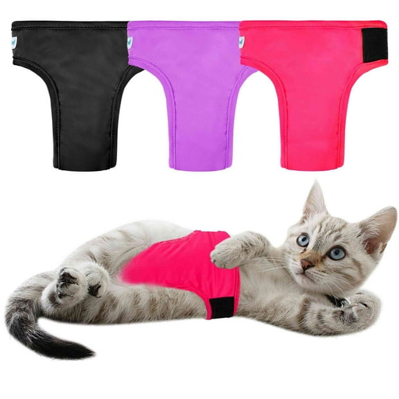 Paw Legend Cat Diapers for Female Cats Spraying Washable Reusable Kitten Diapers for Cats Incontinence Pet Diapers (3 Pack, Colorful, Medium)