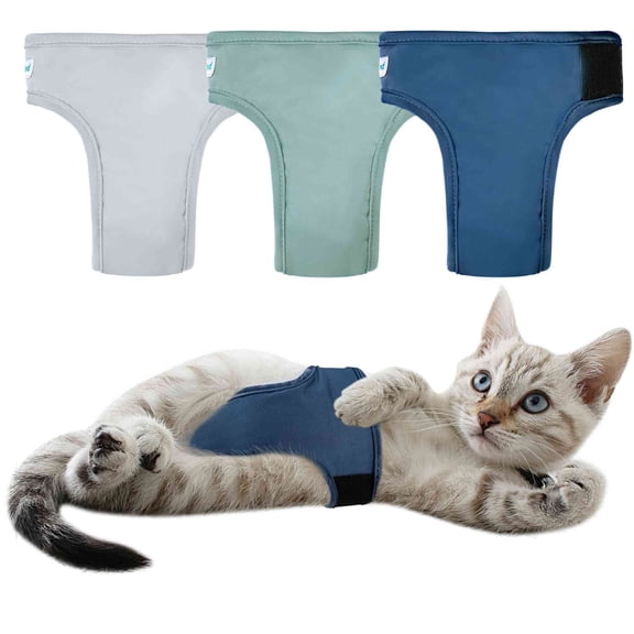 Paw Legend Cat Diapers for Male Cats Spraying Washable Reusable Kitten Diapers for Cats Incontinence Pet Diapers (3 Pack, Small)