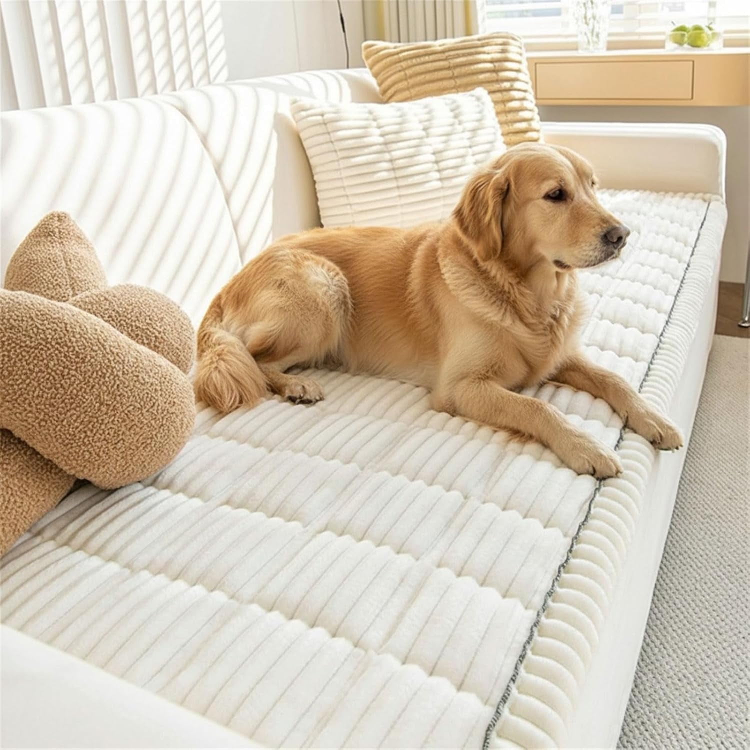 Paw Lounge Plush Pet Couch Cover - Paw cart Waterproof Sofa Protector for Dogs & Pets, Washable Anti-Slip Cover for 3 Cushion Couch, Sectional (White, Medium (2-Seater) — 24 x 60 inches)