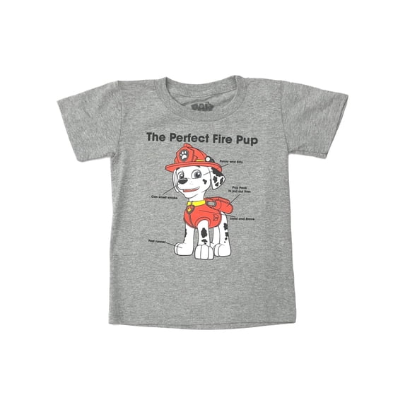 Paw Patrol Boys Gray Short Sleeve Marshall Perfect Fire Pup T-Shirt Tee Shirt 5