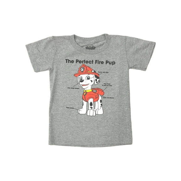 Paw Patrol Boys Gray Short Sleeve Marshall Perfect Fire Pup T-Shirt Tee Shirt 6