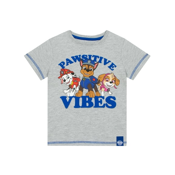 Paw Patrol Boys T-Shirt Gray Sizes 2T-8