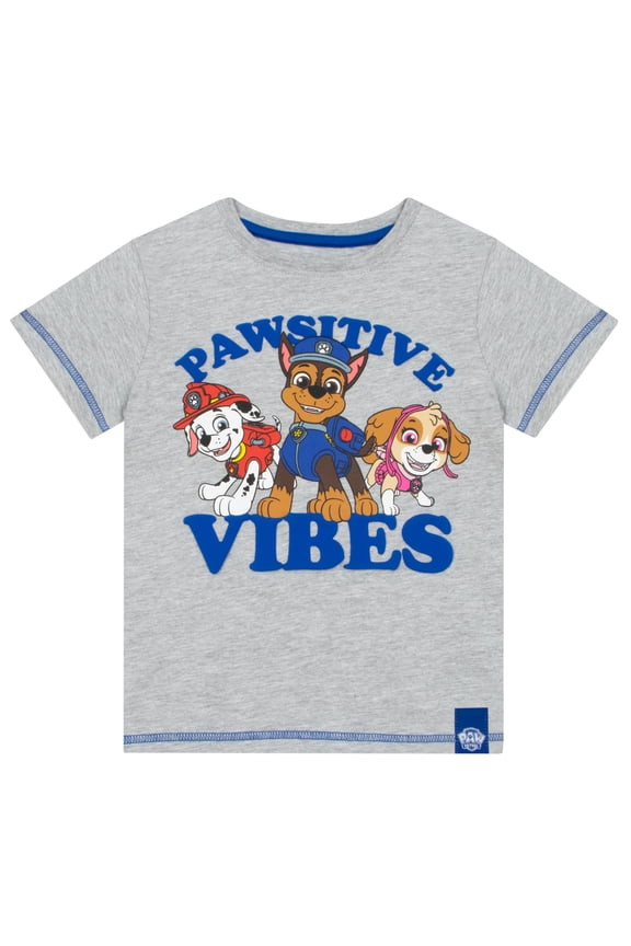 Boys T-Shirt Gray Sizes 2T-8
