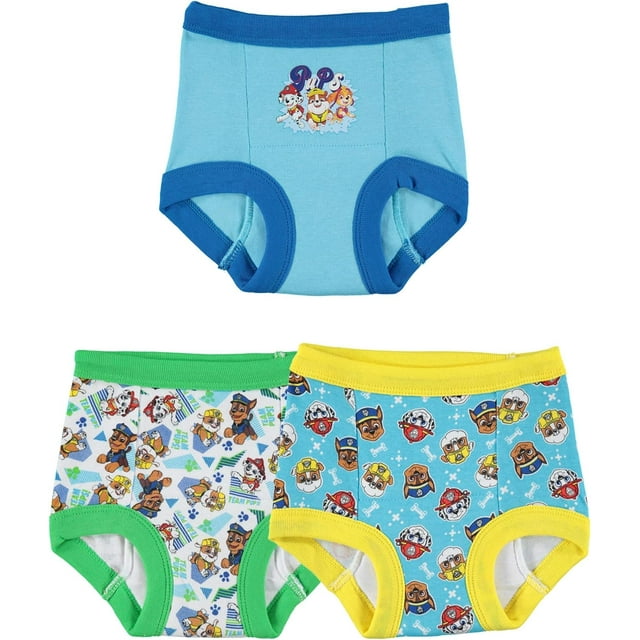 Paw Patrol Boys Toddler Potty Training Pant and Starter Kit with
