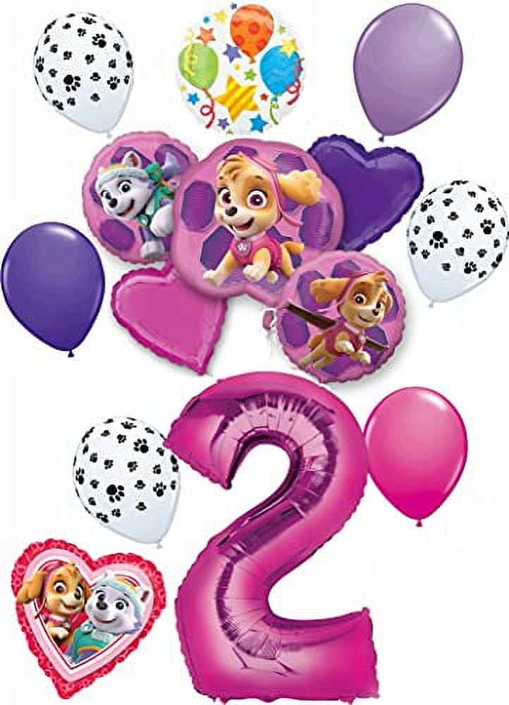 Paw Patrol Party Supplies Skye and Everest Pups 2nd Birthday Balloon Bouquet Decorations Pink Number 2