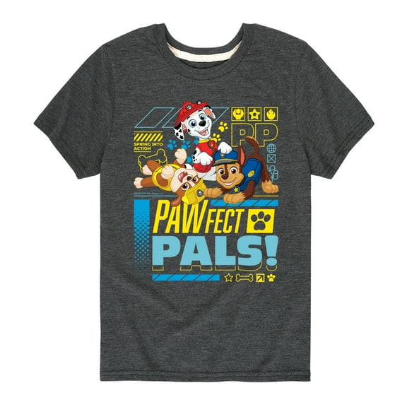 Paw Patrol - Pawfect Pals - Toddler & Youth Short Sleeve Graphic T-Shirt