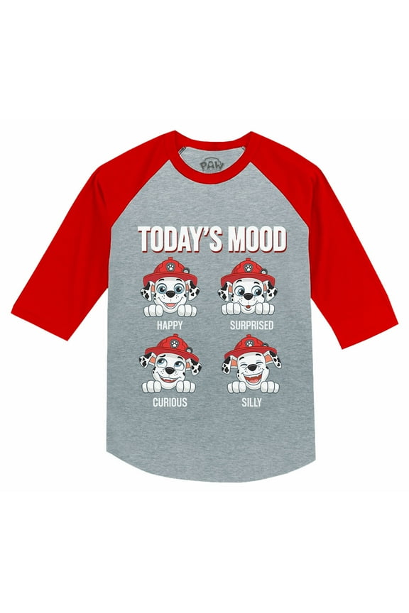 Paw Patrol Shirt Toddler Kids Chase Marshall Rubble Skye Nickelodeon Raglan Tee Marshall Red 5/6