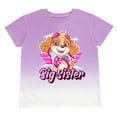 thumbnail image 1 of Paw Patrol Skye Big Sister Drop Shoulder T-Shirt Toddler to Big Kid, 1 of 5