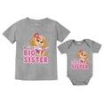 thumbnail image 1 of Paw Patrol Skye Big Sister Little Sister Matching Outfits Shirts for Girls Kid Gray 5/6 / Baby Gray 24M (18-24M), 1 of 5