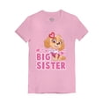 thumbnail image 1 of Paw Patrol Skye Big Sister Shirt Big Sis Gift Youth Kids Girls' Fitted T-Shirt M (5-6T) Pink, 1 of 5