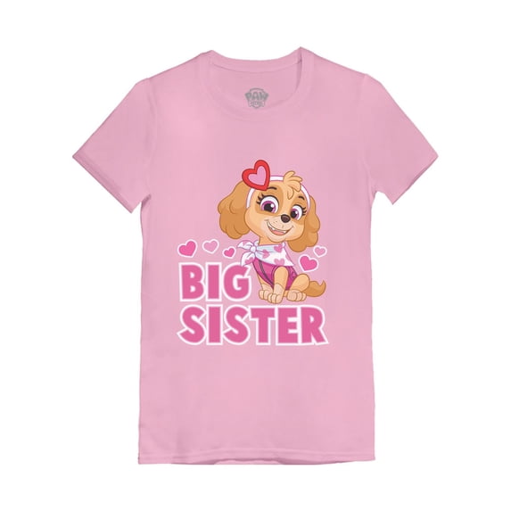Paw Patrol Skye Big Sister Shirt Big Sis Gift Youth Kids Girls' Fitted T-Shirt S (3-4T) Pink